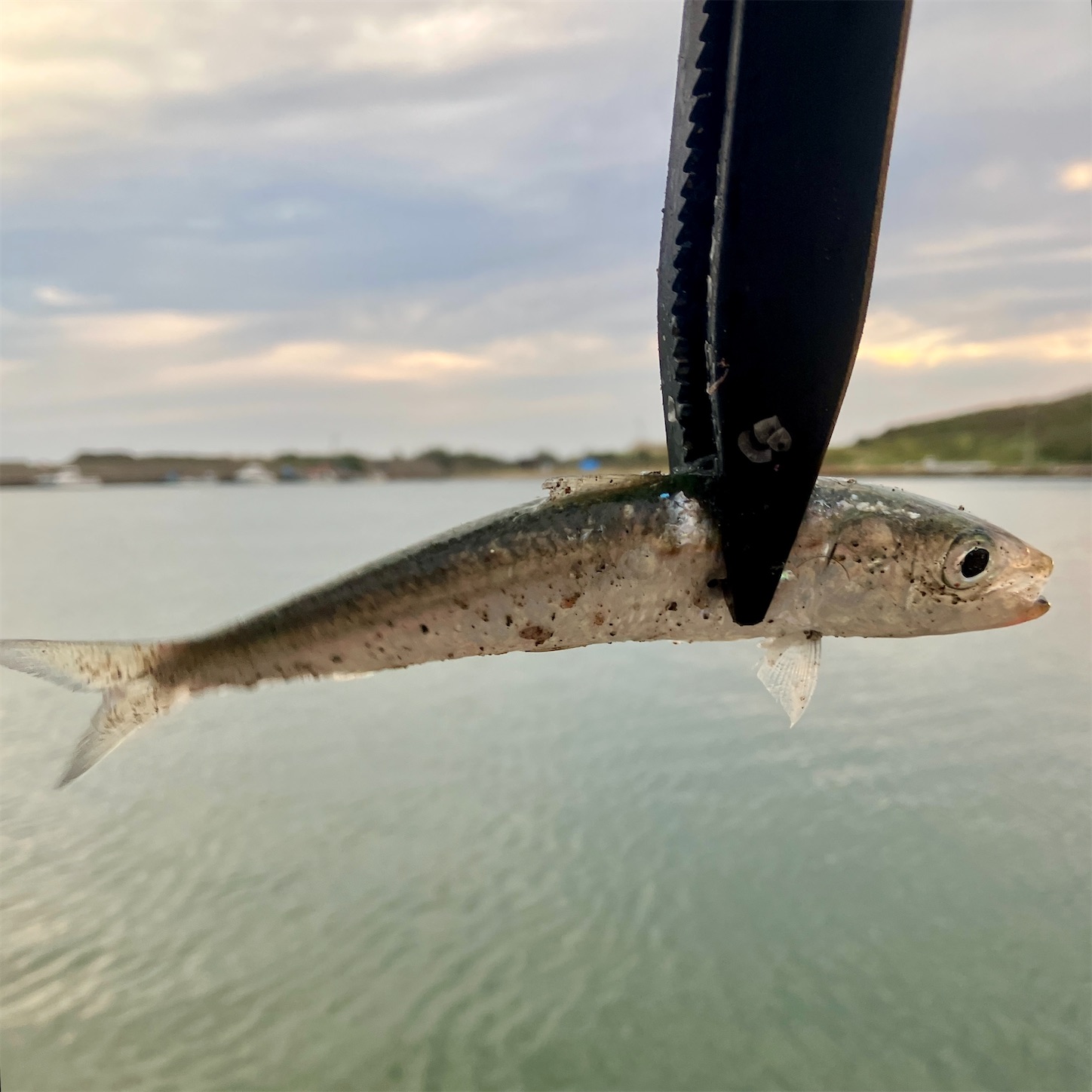 f:id:marvelousact:20251018093257j:image