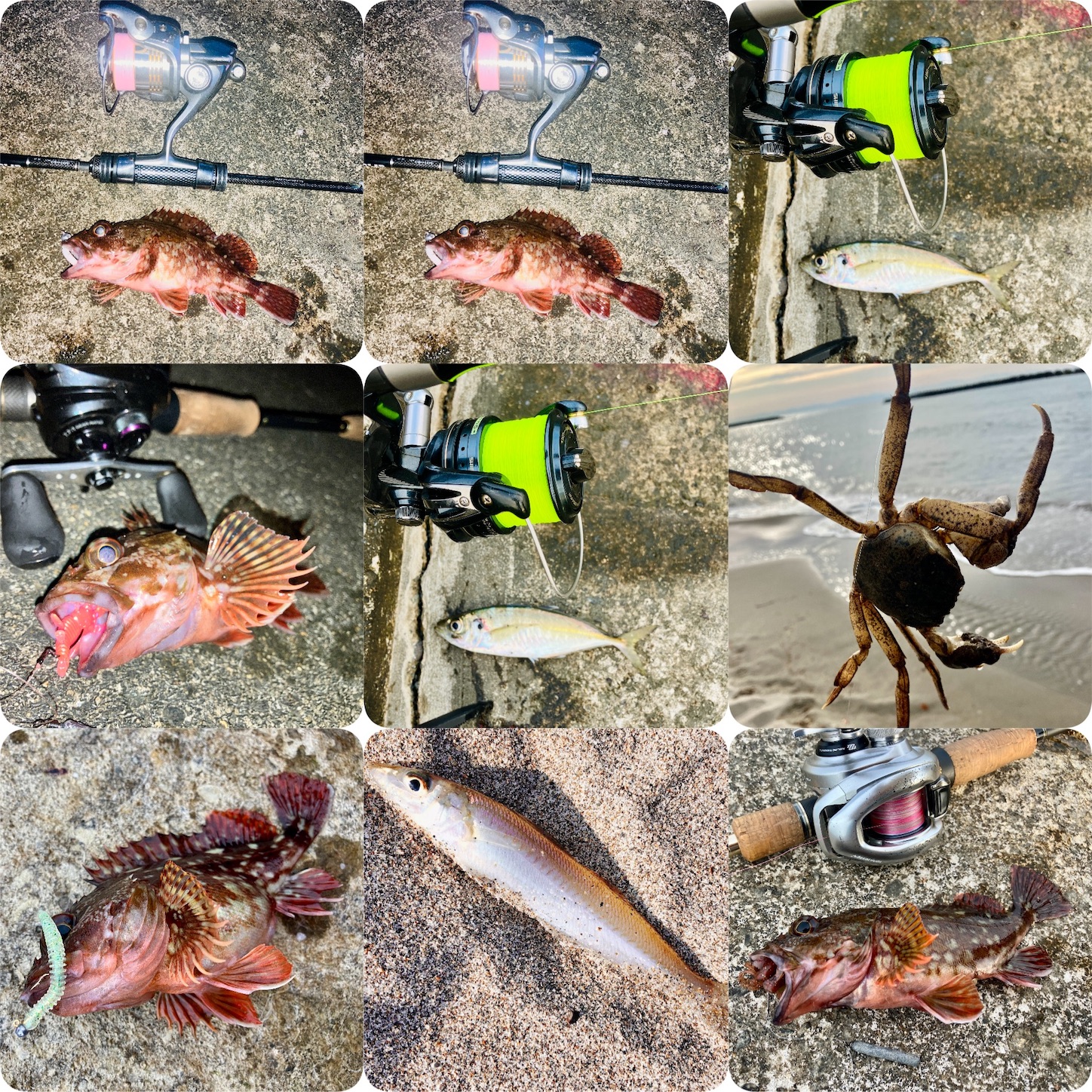 f:id:marvelousact:20251231143946j:image