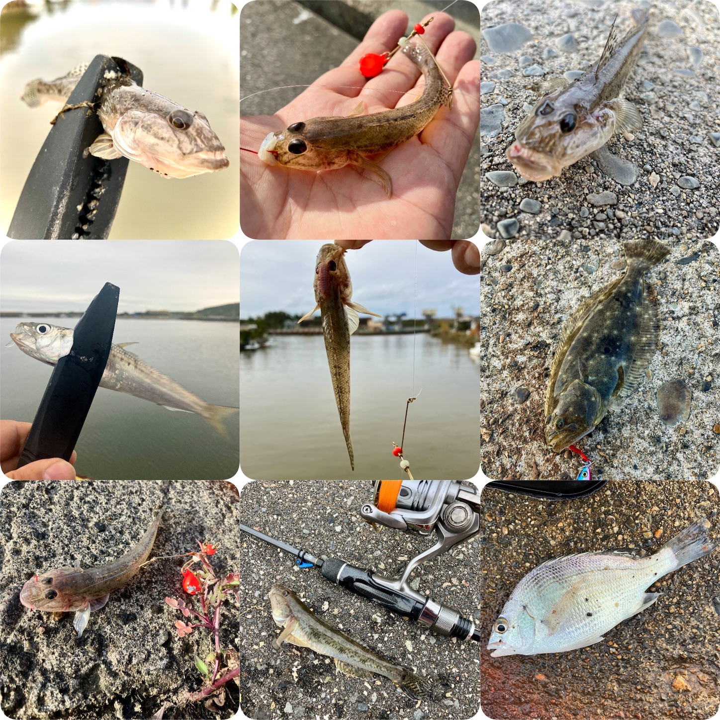 f:id:marvelousact:20251231143949j:image