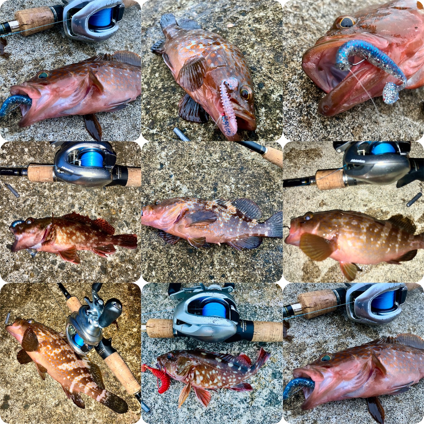 f:id:marvelousact:20251231144021j:image