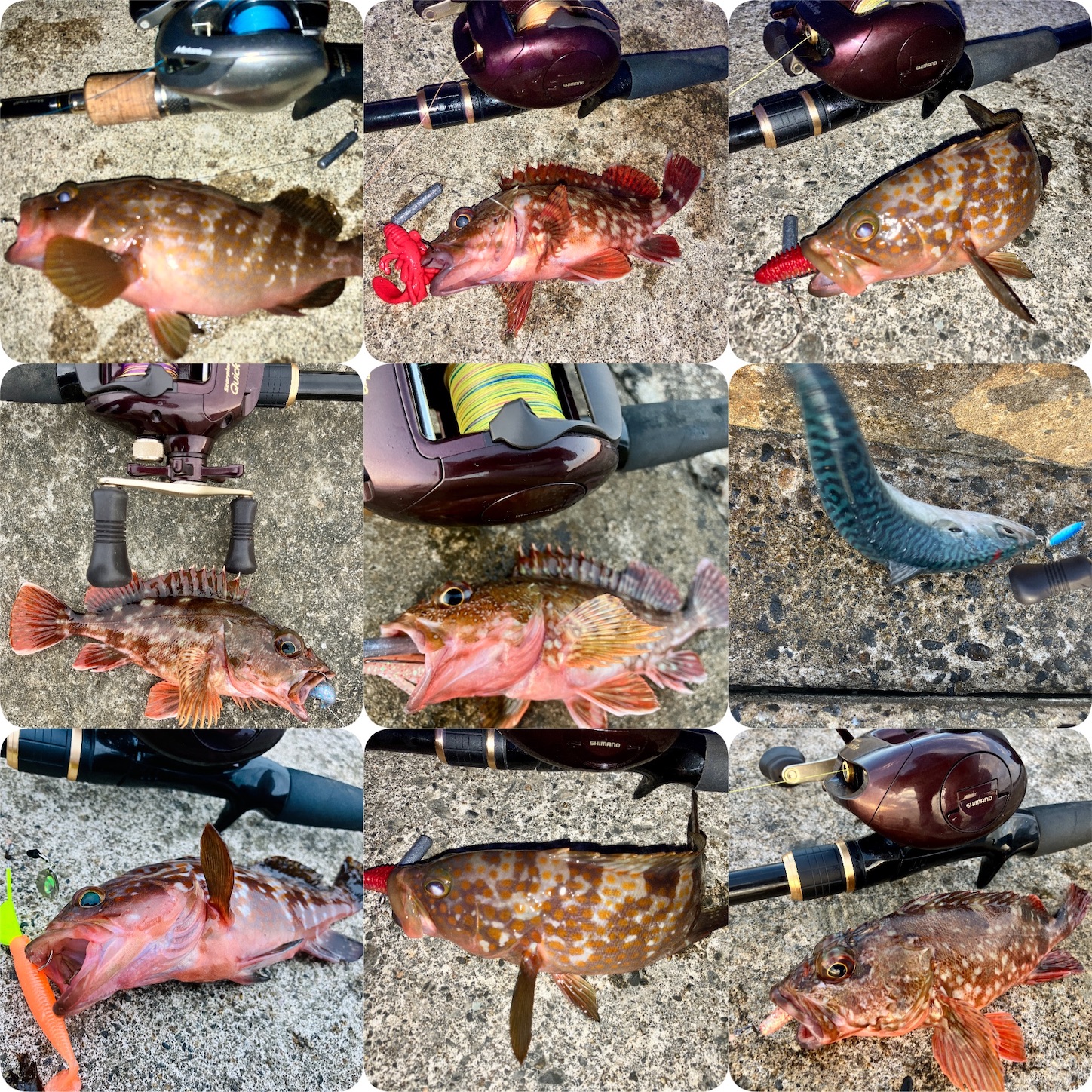 f:id:marvelousact:20251231144045j:image