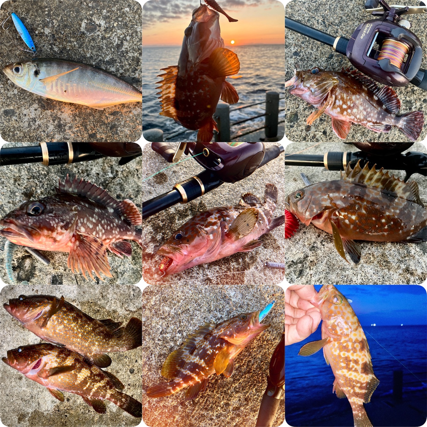 f:id:marvelousact:20251231144102j:image