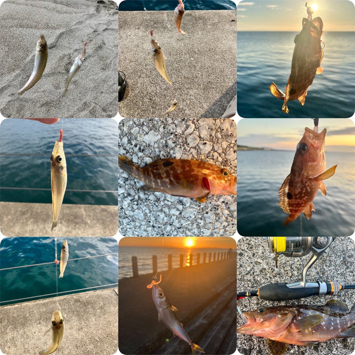 f:id:marvelousact:20251231144113j:image