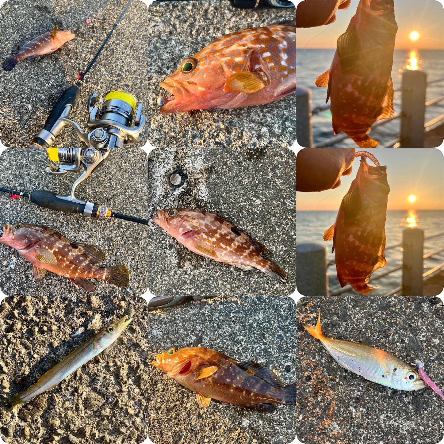 f:id:marvelousact:20251231144121j:image