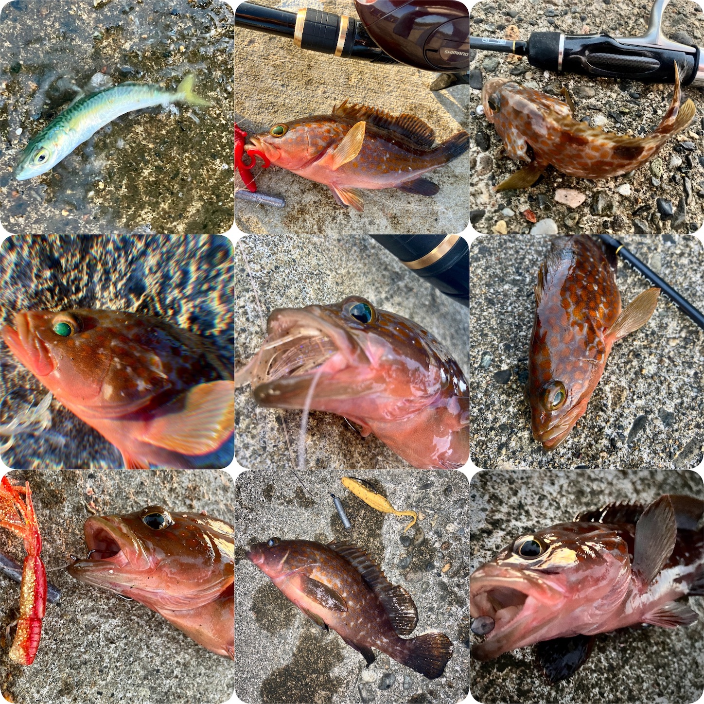 f:id:marvelousact:20251231144155j:image