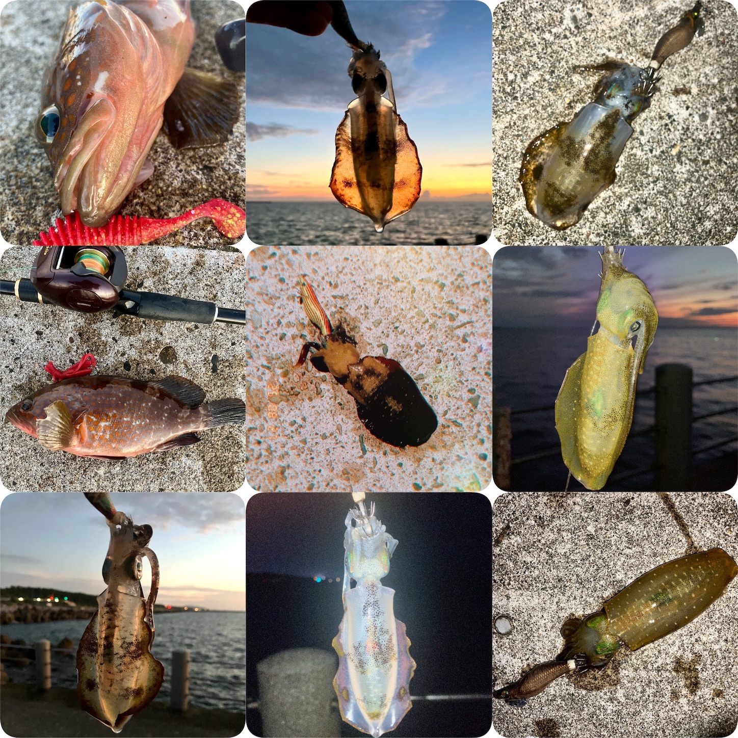 f:id:marvelousact:20251231144207j:image