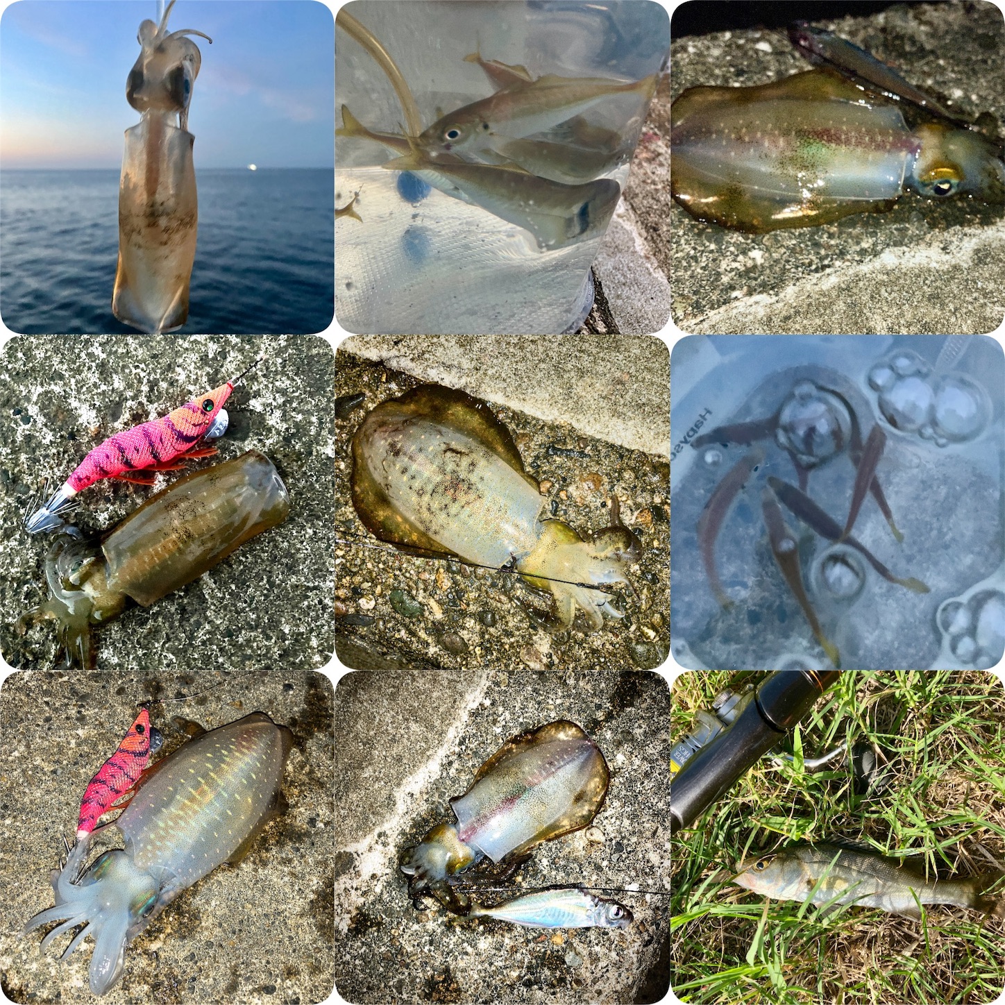 f:id:marvelousact:20251231144213j:image