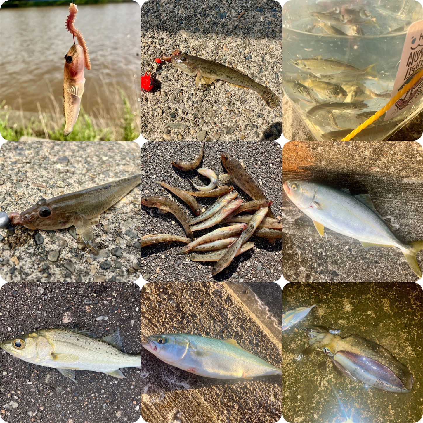 f:id:marvelousact:20251231144244j:image