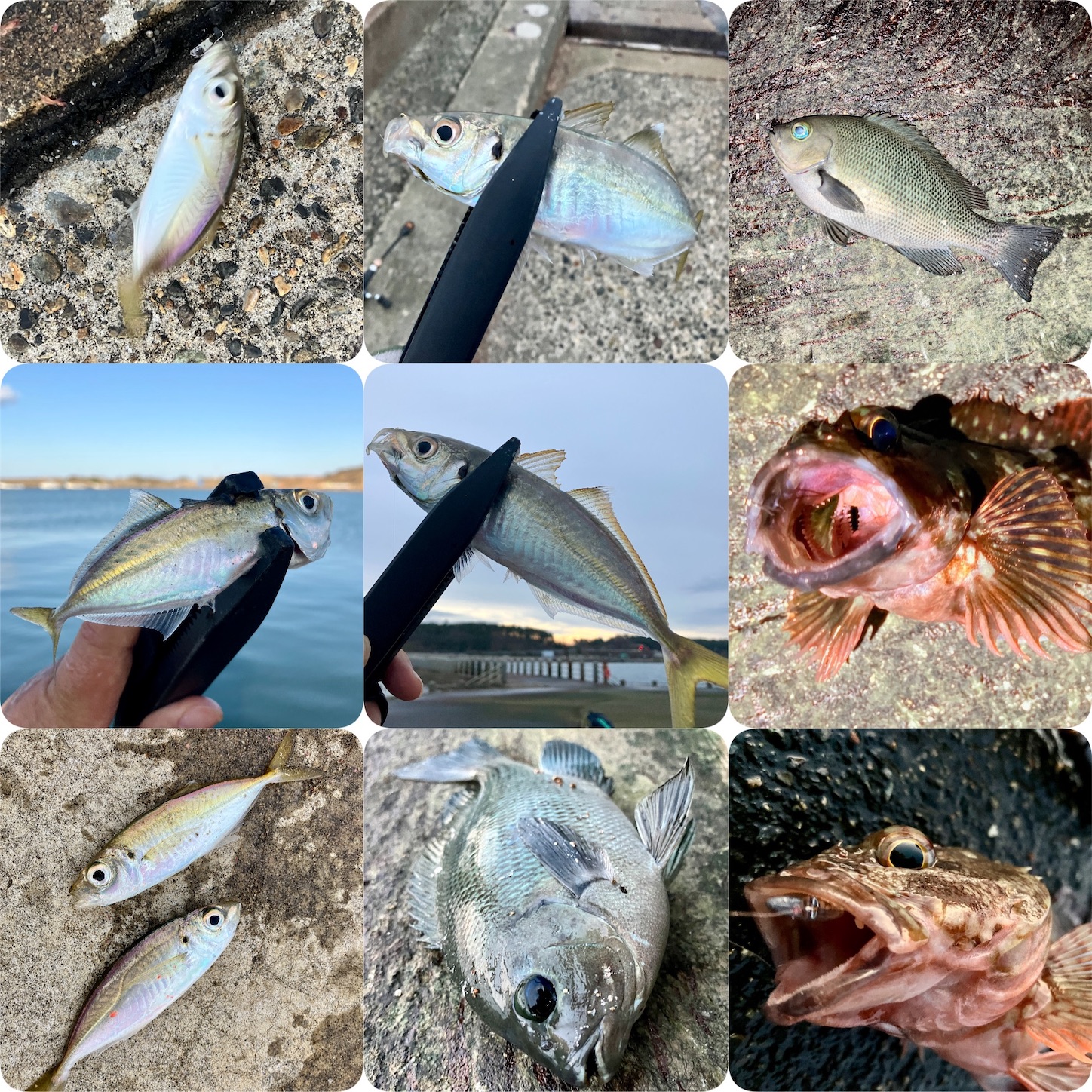 f:id:marvelousact:20251231144254j:image