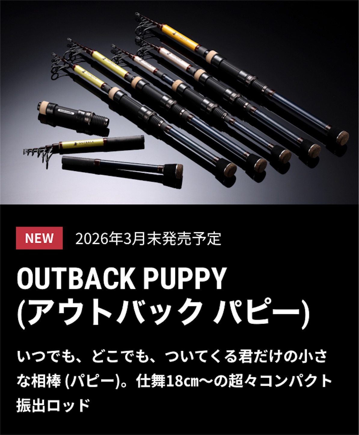やべぇですわ！なパックロッドがテイルウォークから出るみたい♡2026