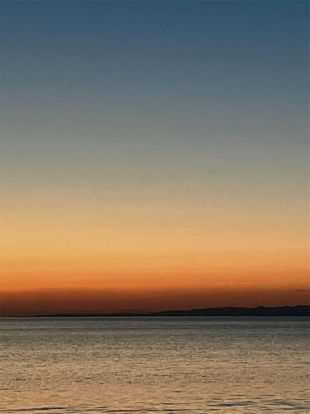 f:id:marvelousact:20260222212122j:image