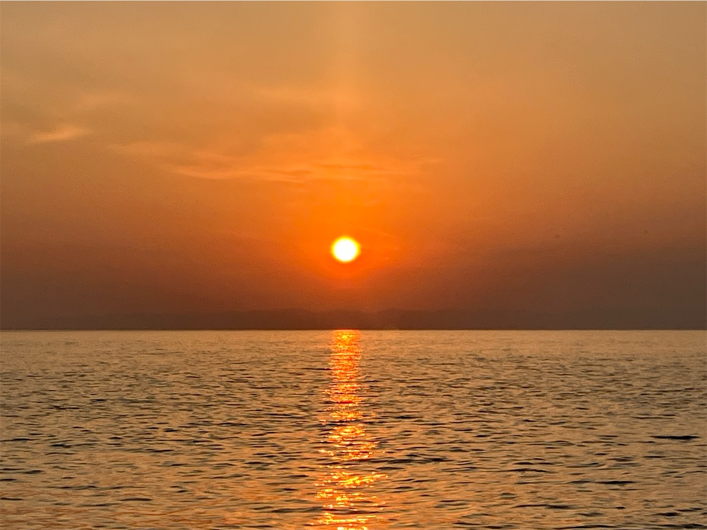 f:id:marvelousact:20260403210307j:image f:id:marvelousact:20260403210307j:image