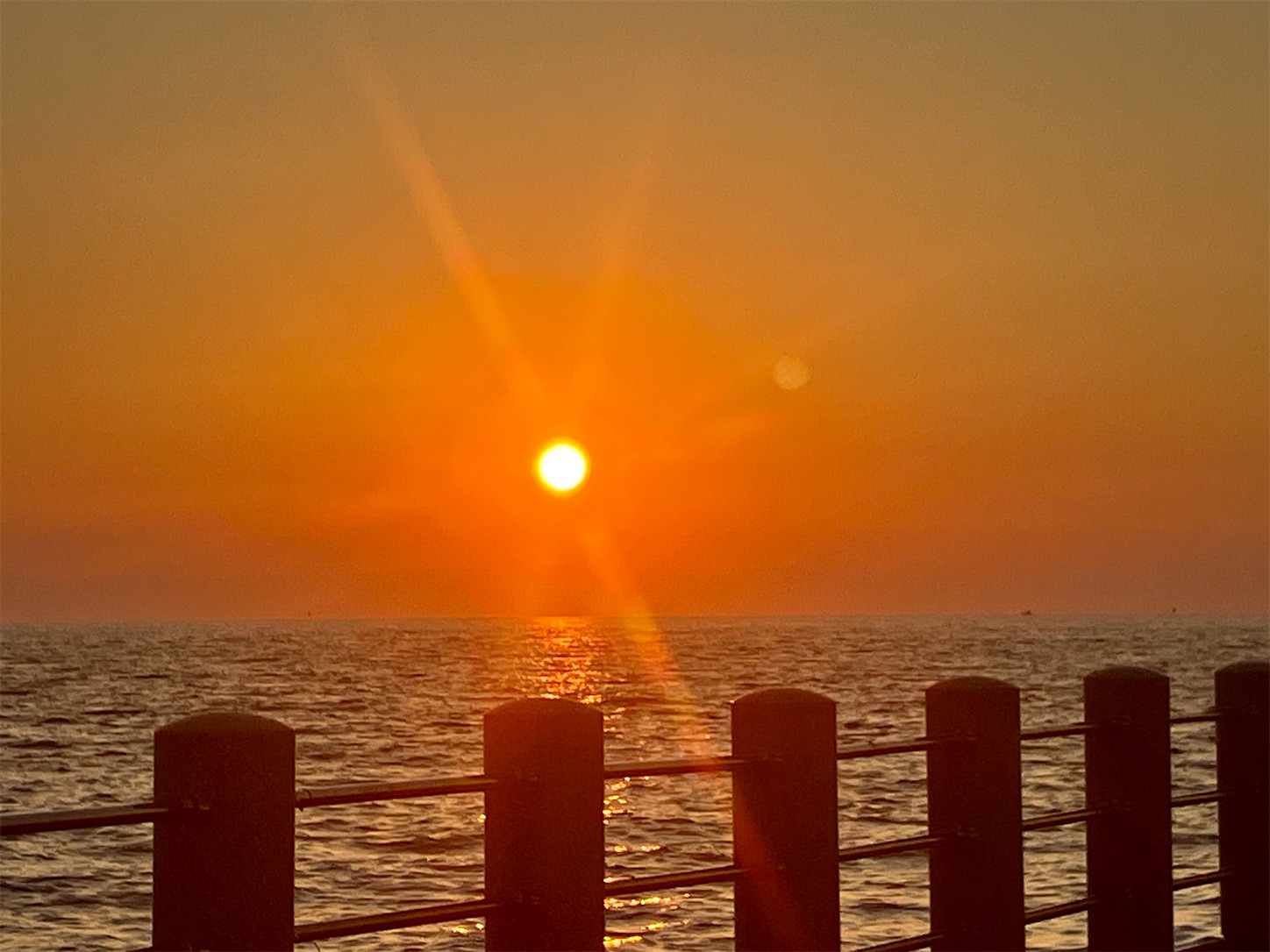 f:id:marvelousact:20260613231202j:image f:id:marvelousact:20260613231202j:image
