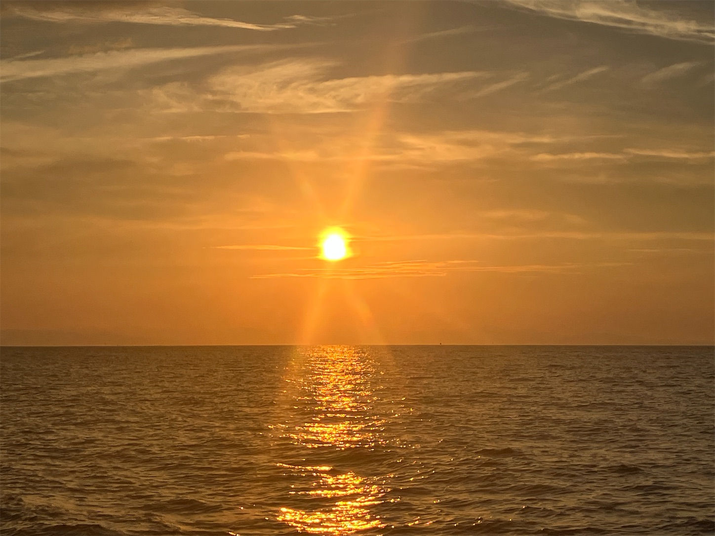 f:id:marvelousact:20260710233349j:image f:id:marvelousact:20260710233349j:image