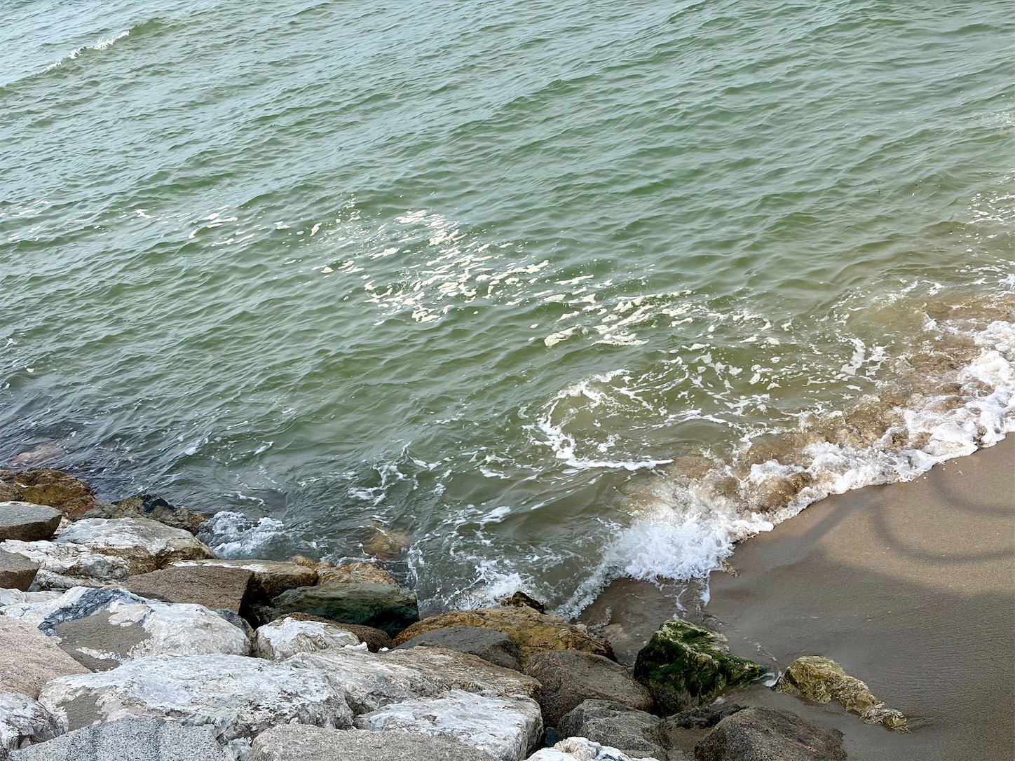 f:id:marvelousact:20260910215512j:image f:id:marvelousact:20260910215512j:image