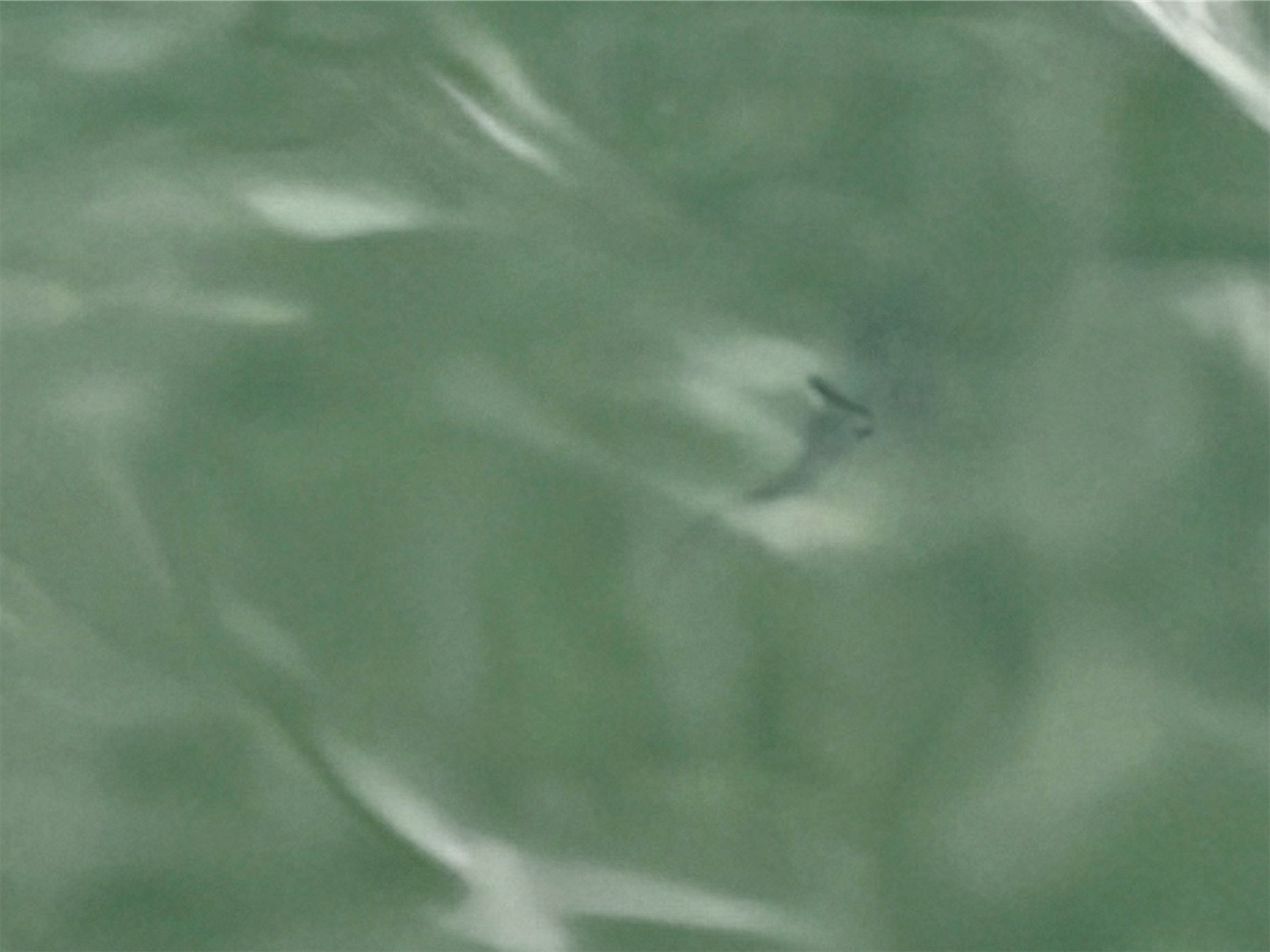 f:id:marvelousact:20260913090930j:image f:id:marvelousact:20260913090930j:image