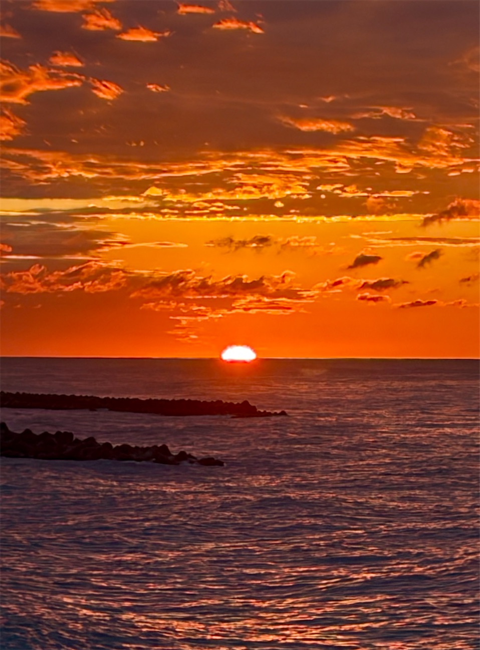 f:id:marvelousact:20261026185012j:image f:id:marvelousact:20261026185012j:image