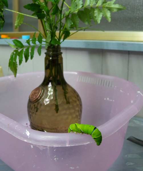 f:id:maryoshi:20120627010934j:image f:id:maryoshi:20120627010934j:image