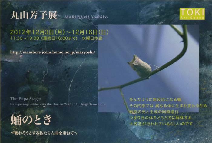 f:id:maryoshi:20121111121754j:image f:id:maryoshi:20121111121754j:image