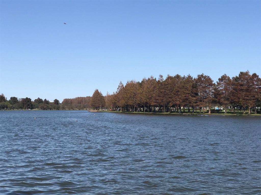 f:id:maryuchian:20181022084117j:image f:id:maryuchian:20181022084117j:image