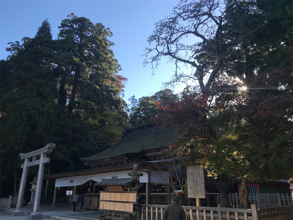 f:id:maryuchian:20181124084927j:image f:id:maryuchian:20181124084927j:image