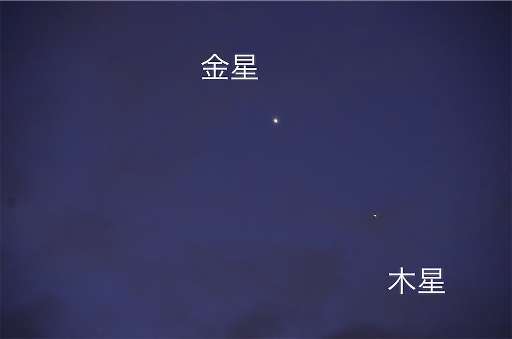 f:id:maryuchian:20190123120031j:image f:id:maryuchian:20190123120031j:image