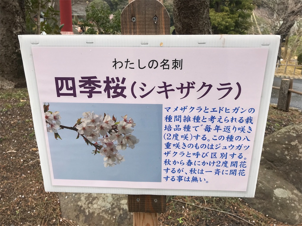 f:id:maryuchian:20190322091937j:image f:id:maryuchian:20190322091937j:image