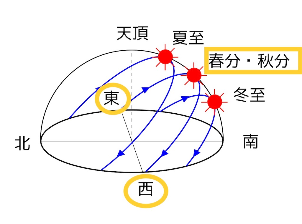 f:id:maryuchian:20200316223805j:image f:id:maryuchian:20200316223805j:image