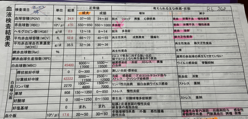最初に病院でした検査の結果の２枚目