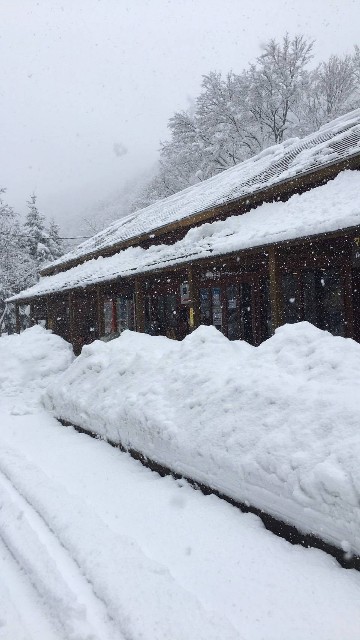 f:id:masa-camp:20210104165226j:image f:id:masa-camp:20210104165226j:image