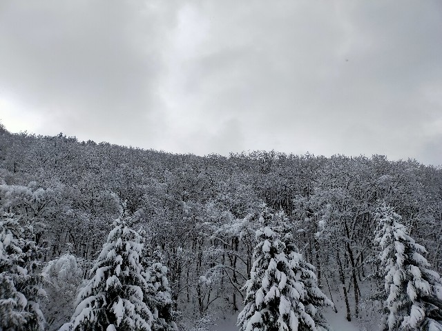 f:id:masa-camp:20210104175131j:image f:id:masa-camp:20210104175131j:image