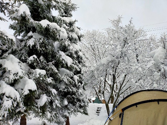 f:id:masa-camp:20210104175152j:image f:id:masa-camp:20210104175152j:image