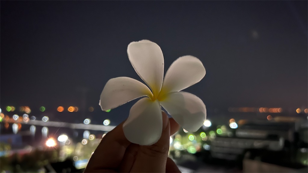 f:id:masa-masa-masa:20220315193442j:image