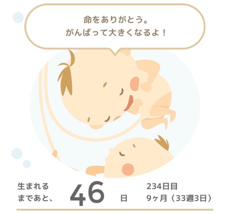 f:id:masa-natsu:20170204220737j:plain f:id:masa-natsu:20170204220737j:plain