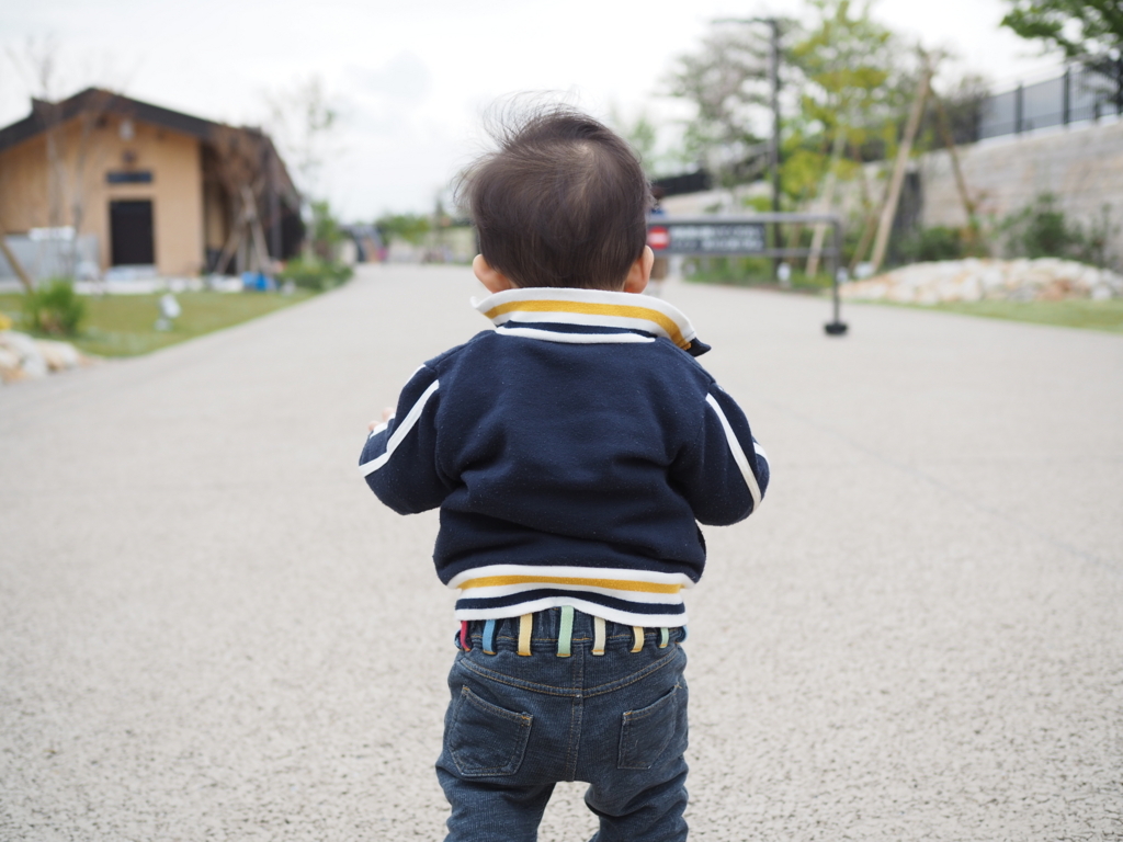 f:id:masa-natsu:20180501000511j:plain f:id:masa-natsu:20180501000511j:plain