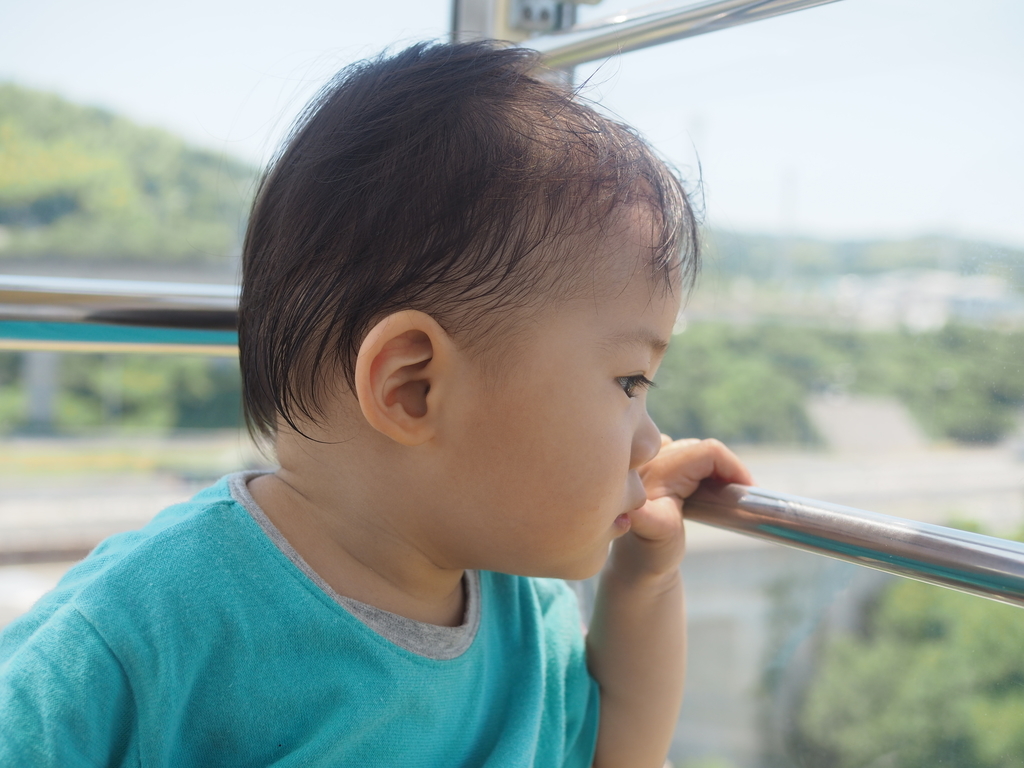 f:id:masa-natsu:20180831224115j:plain f:id:masa-natsu:20180831224115j:plain