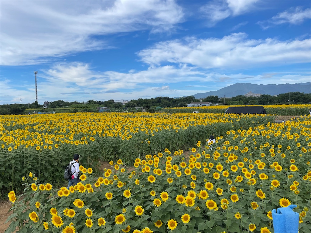 f:id:masa-sanpo:20220815062812j:image