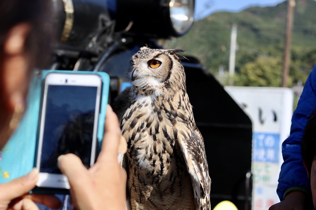 f:id:masa-tetsudo:20200508174257j:plain f:id:masa-tetsudo:20200508174257j:plain