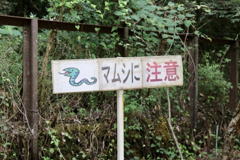 f:id:masa-tetsudo:20200813202223j:image