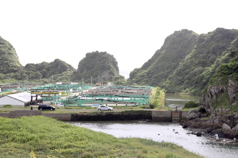 f:id:masa-tetsudo:20200910162635j:image