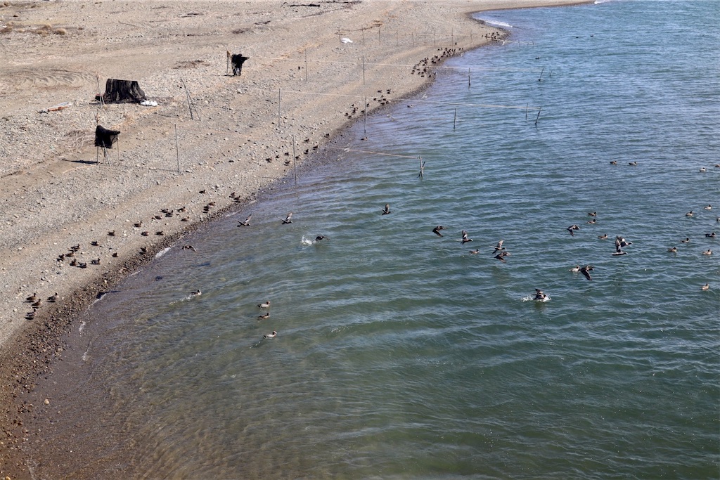 f:id:masa-tetsudo:20210226180829j:image f:id:masa-tetsudo:20210226180829j:image