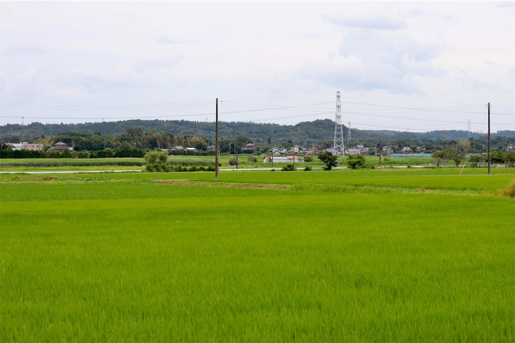 f:id:masa-tetsudo:20210614111550j:image