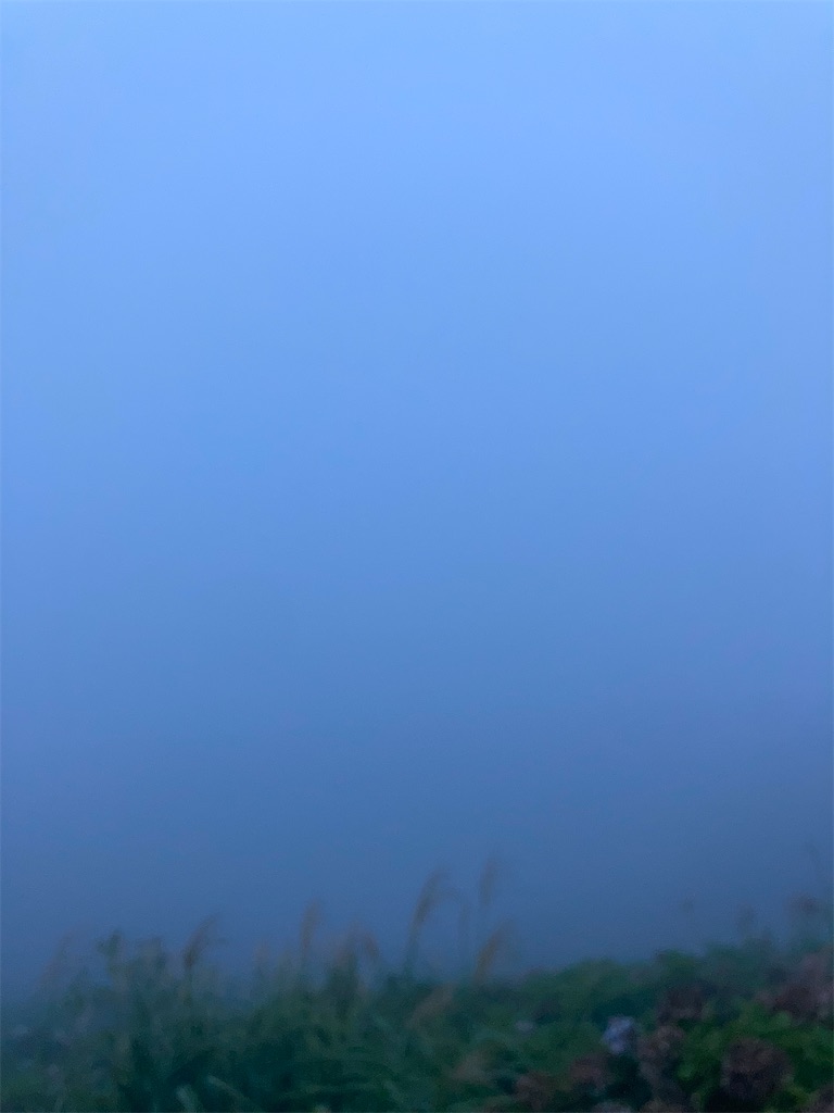 f:id:masa102:20220918154713j:image