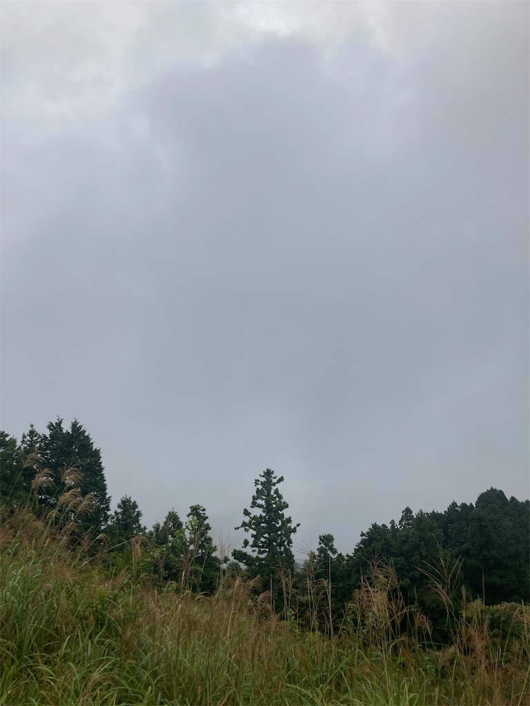 f:id:masa102:20220918155153j:image