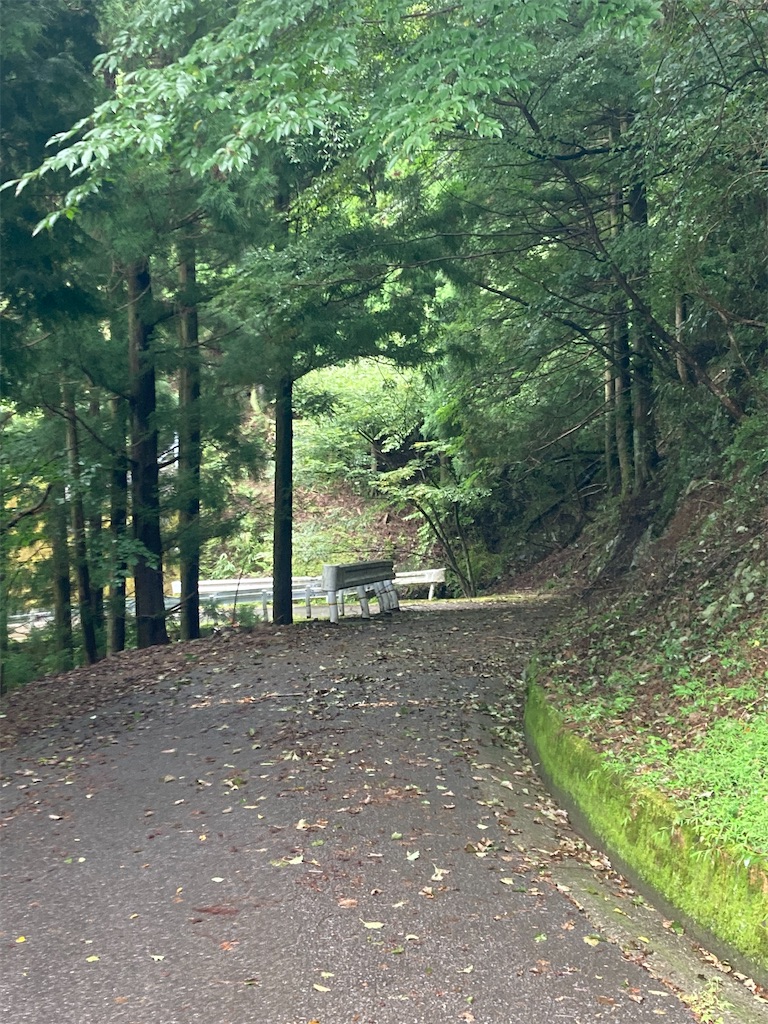 f:id:masa102:20220918155156j:image