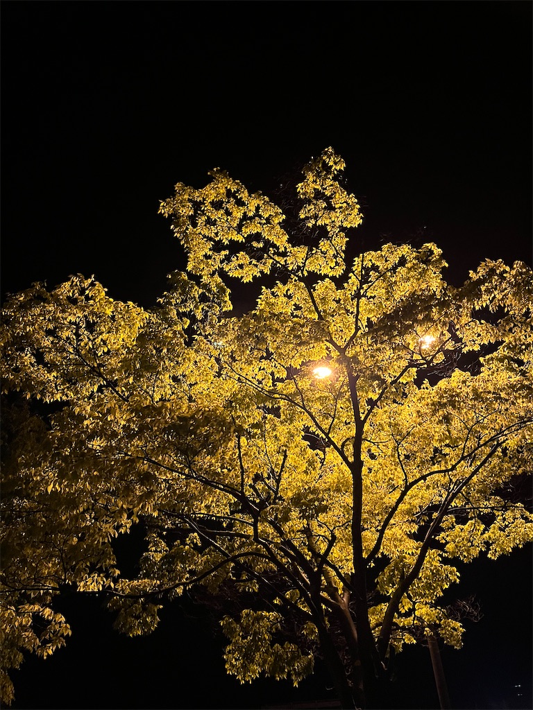 f:id:masa102:20250608070823j:image