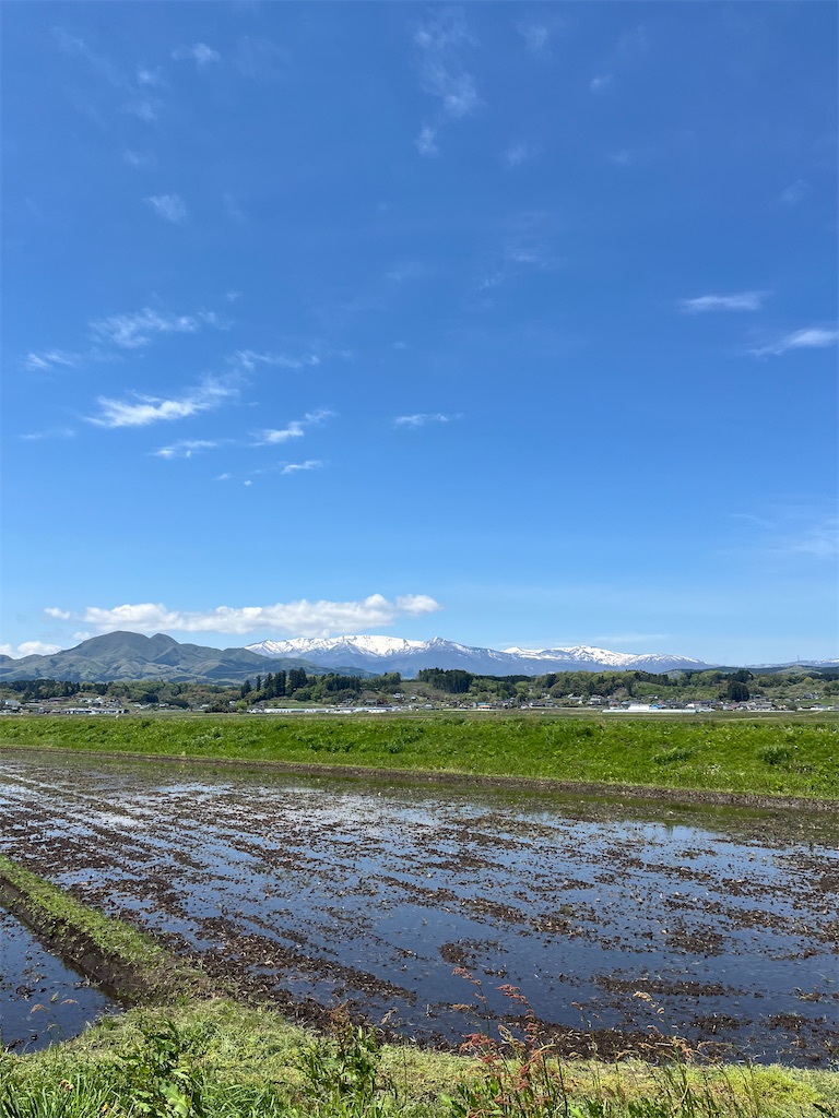 f:id:masa102:20250608080601j:image