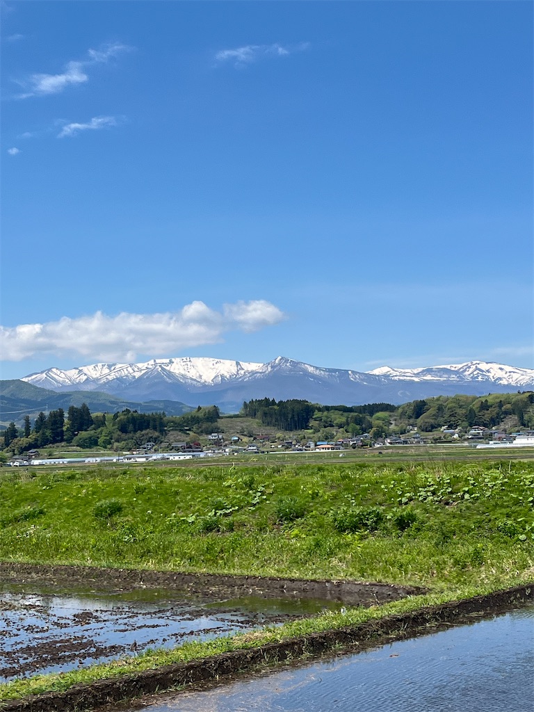 f:id:masa102:20250608080617j:image