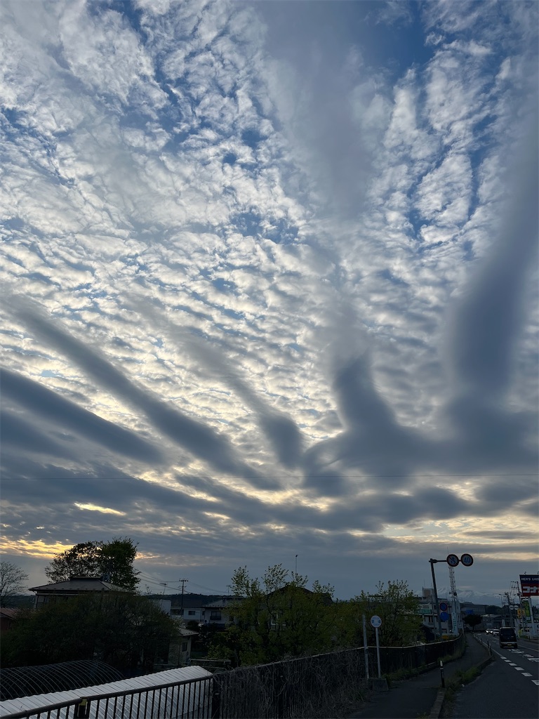 f:id:masa102:20250608100926j:image