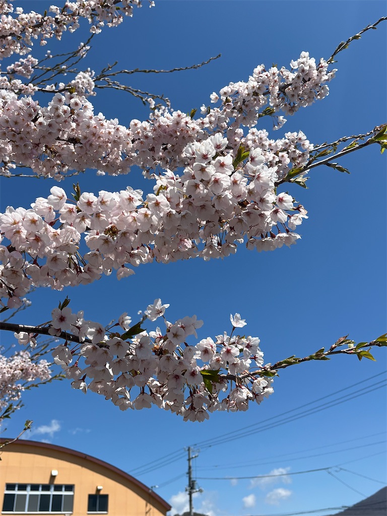 f:id:masa102:20250608114723j:image